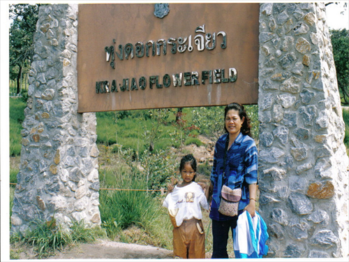 ป่าหินงาม