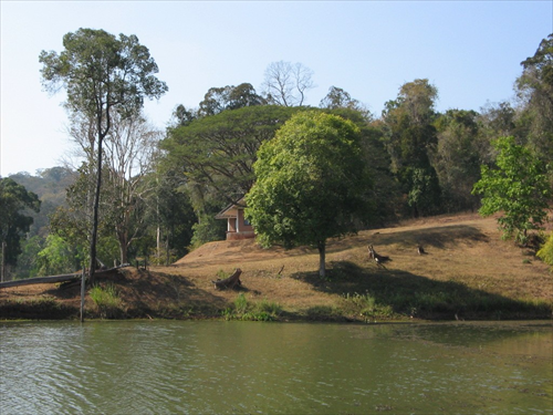 เขตรักษาพันธุ์สัตว์ป่าภูเขียว