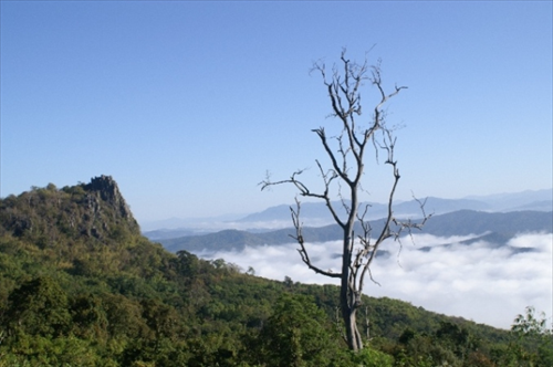 อุทยานแห่งชาติศรีน่าน