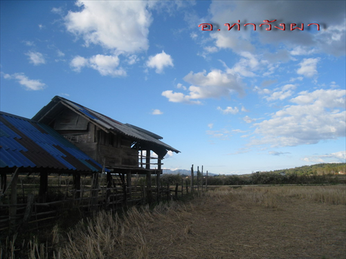 หมู่บ้านไทยลื้อหนองบัว