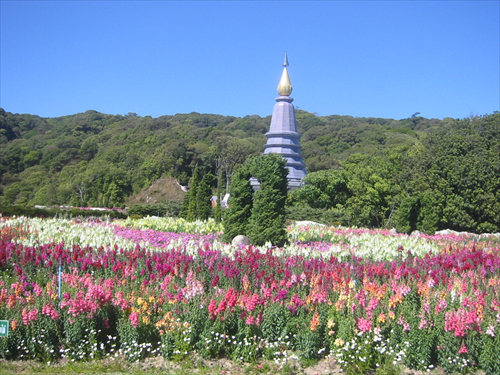 อุทยานแห่งชาติดอยอินทนนท์