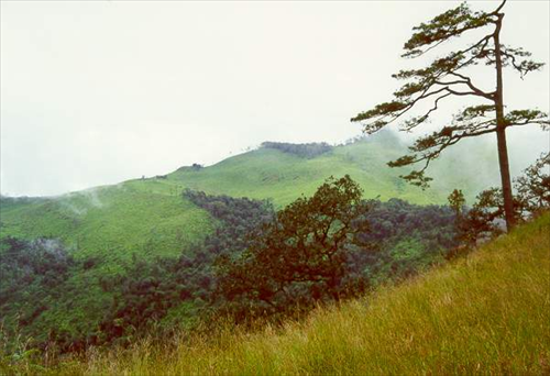 อุทยานแห่งชาติภูสอยดาว