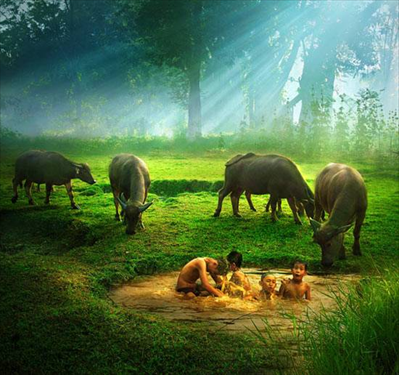 เขตรักษาพันธุ์สัตว์ป่าเขาสน-เขาสนามเพรียง